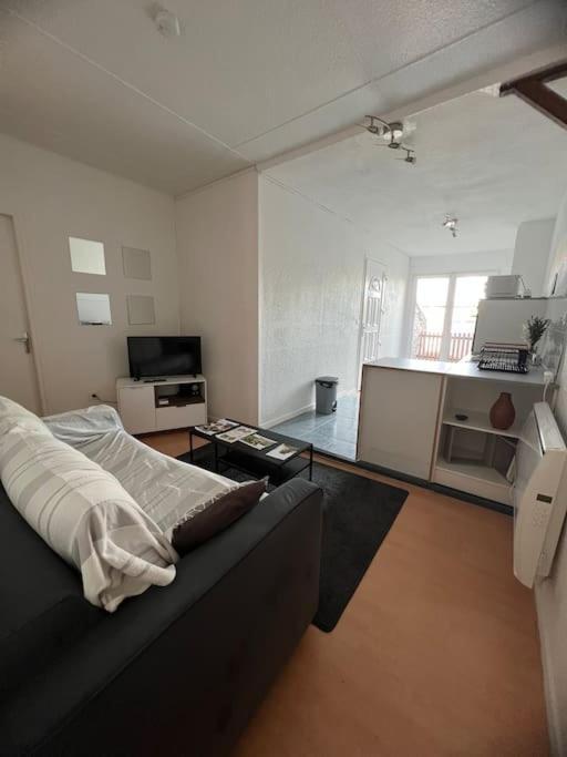 Bourbonne Les Bains, Appartement T2 Pour 2 Ngoại thất bức ảnh